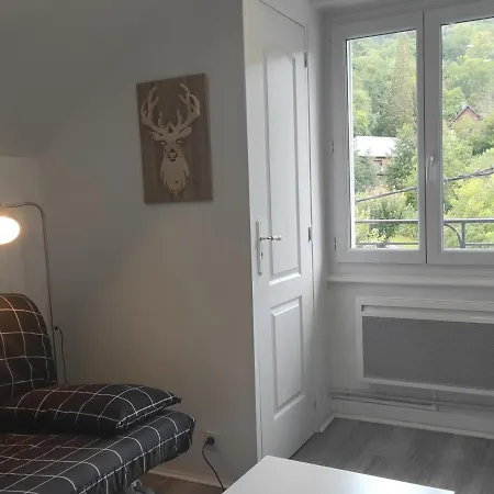 Appartement Studio La Bourboule, 2 Pièces, 4 Personnes - Fr-1-667-10 *